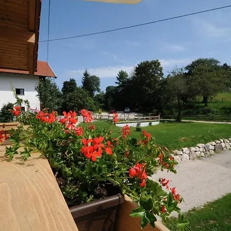 Stoettnerhof Urlaub Auf Dem Bauernhof مزرعة للإقامة *