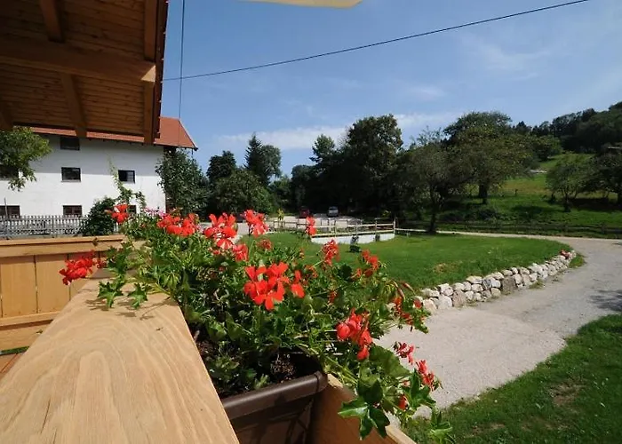 Stoettnerhof Urlaub Auf Dem Bauernhof Alloggio per agriturismo *